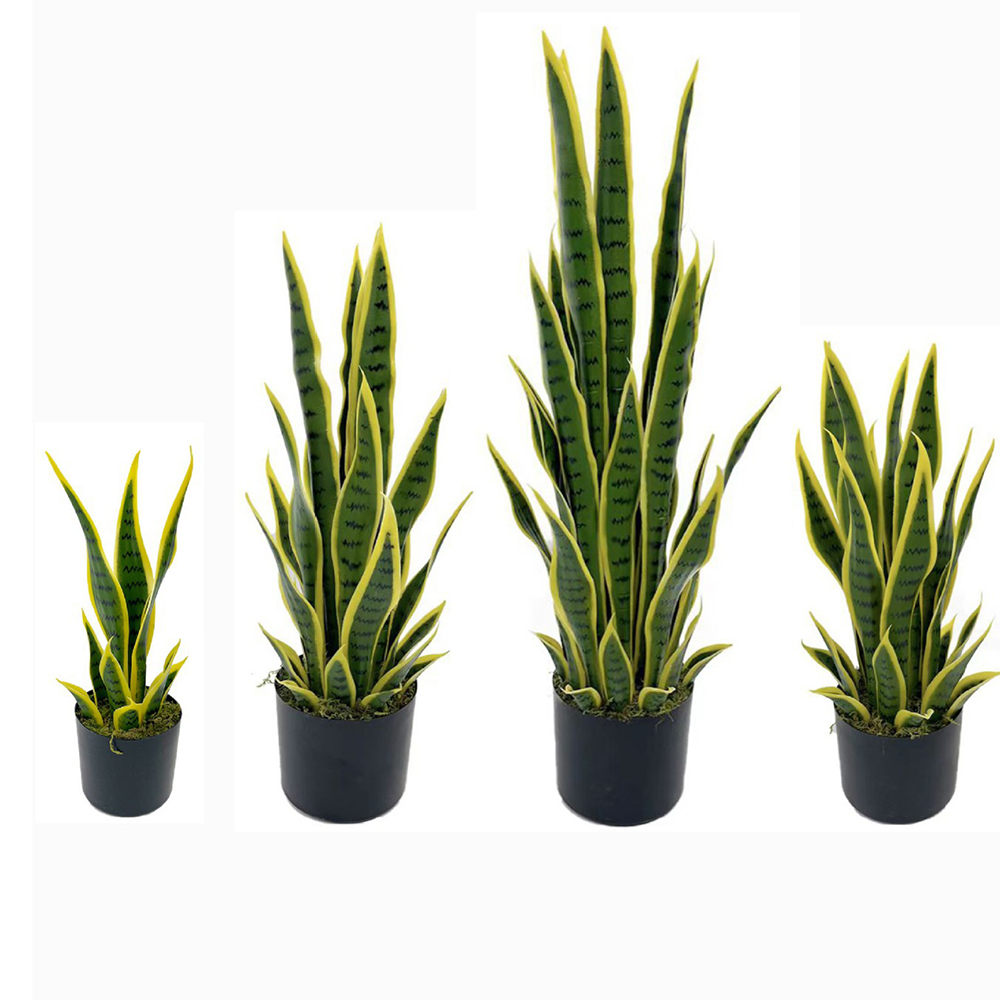 Ficus Lyrata Tree - Plante artificielle Sansevieria (Serpentine) de 40-100