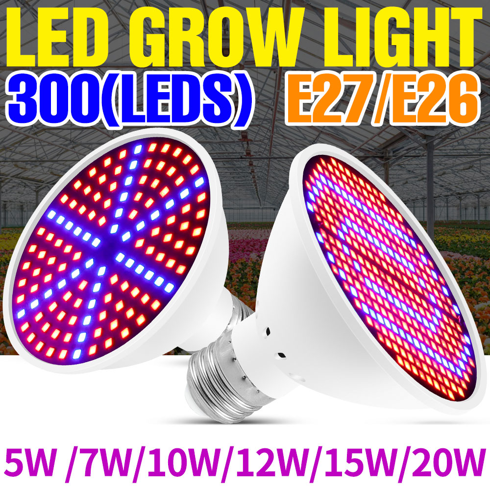 Lampe de croissance LED à spec - Echeveria Succulent avis et prix