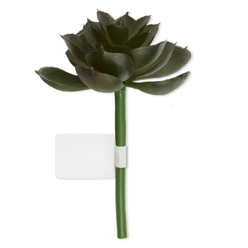 Succulente artificielle, varié - Echeveria Succulent avis et prix