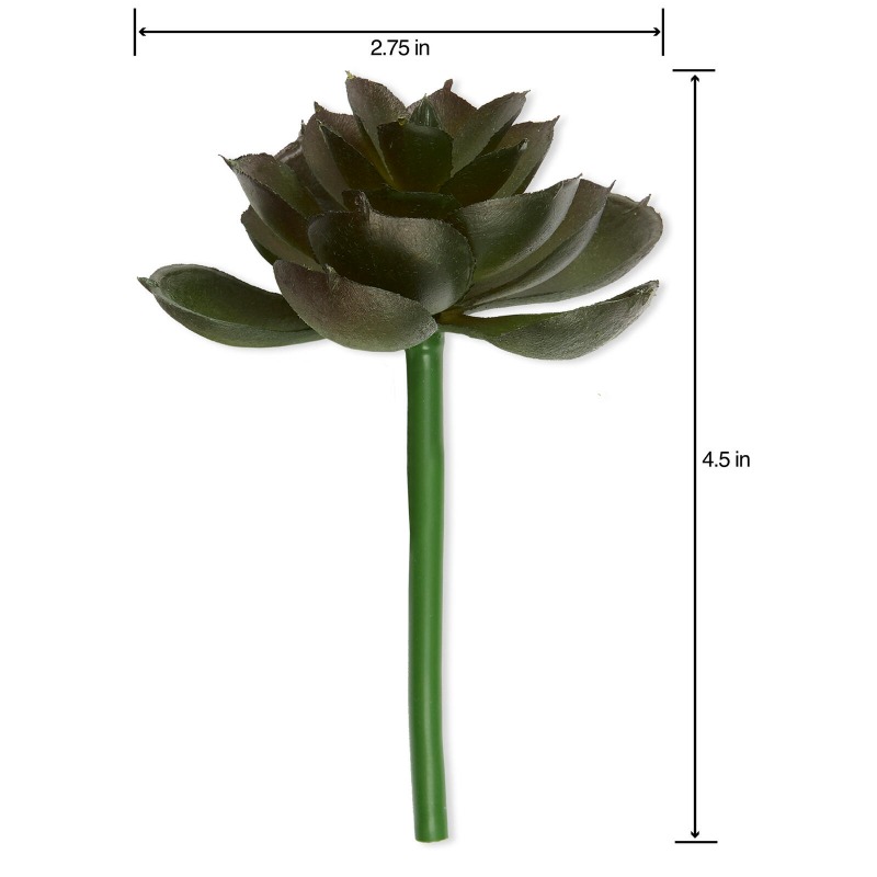 Succulente artificielle, varié - Echeveria Succulent avis et prix