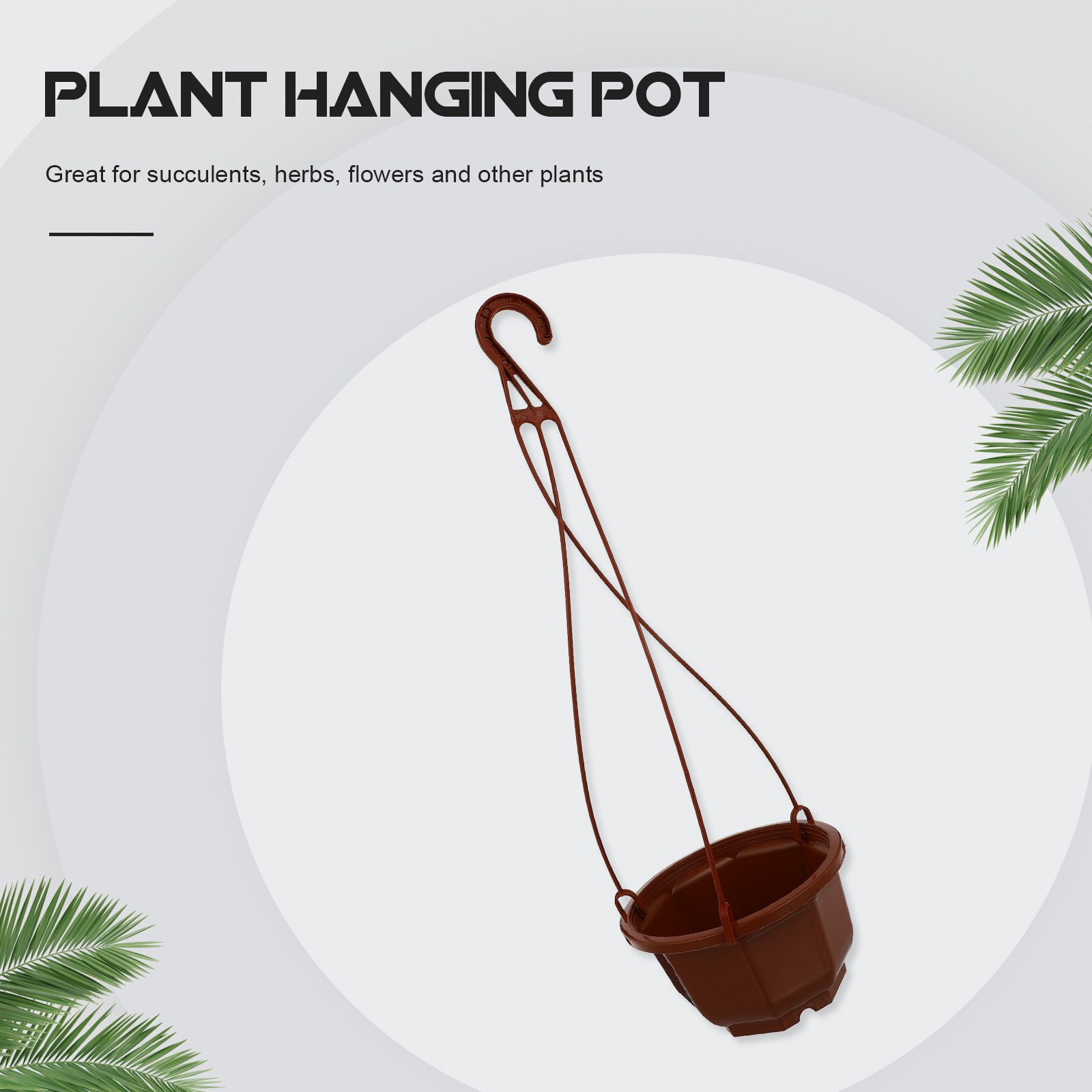 6 ensembles de pots suspendus  - Spider Plant Hanging avis et prix