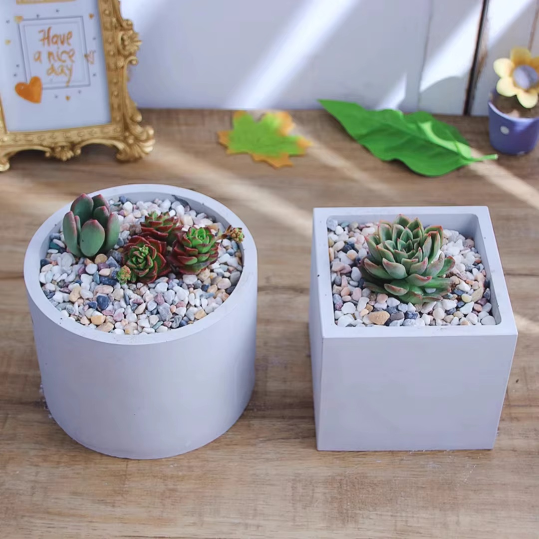 Moule en silicone pour pot de  - Echeveria Succulent avis et prix