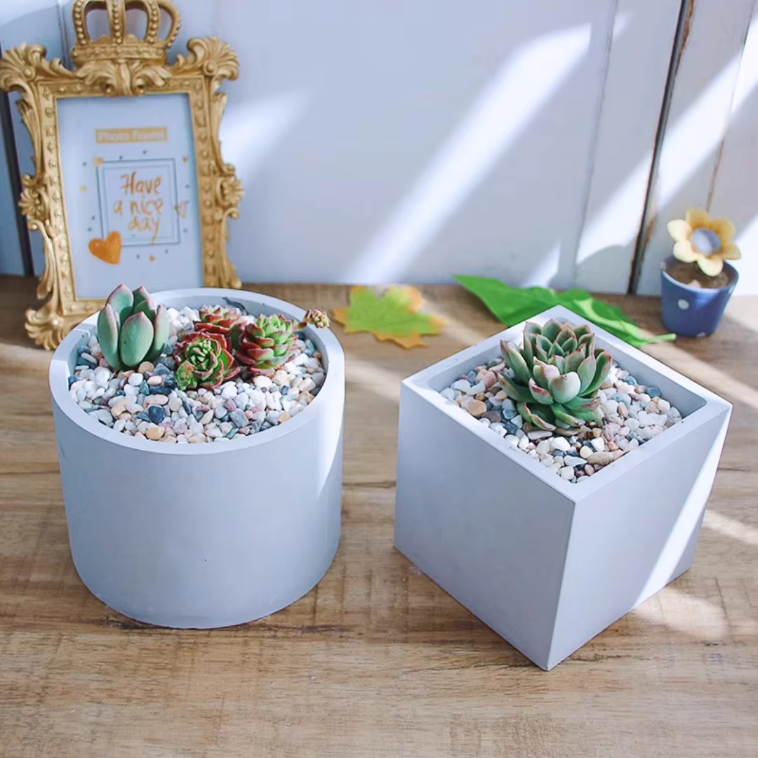 Moule en silicone pour pot de  - Echeveria Succulent avis et prix