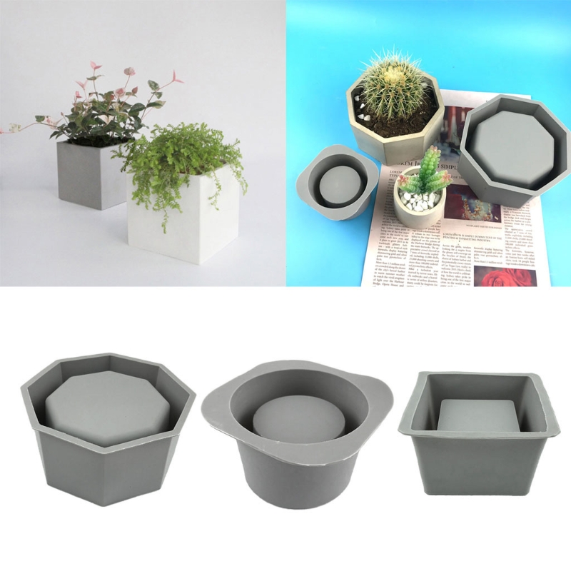 Pot de fleur de jardinière suc - Echeveria Succulent avis et prix
