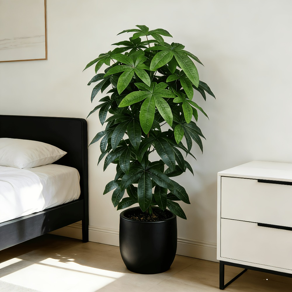 Un arbre à monnaie artificiel  - Ficus Lyrata Tree avis et prix